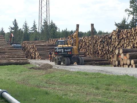 13_1547463028.jpg